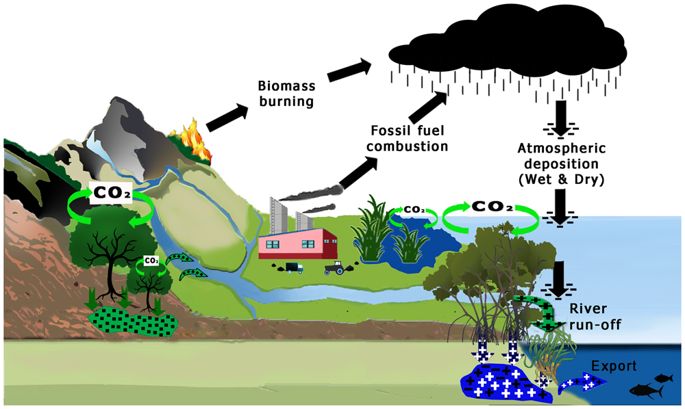 SALVIAMO L’AMBIENTE by Rossella Santamaria - Ourboox.com