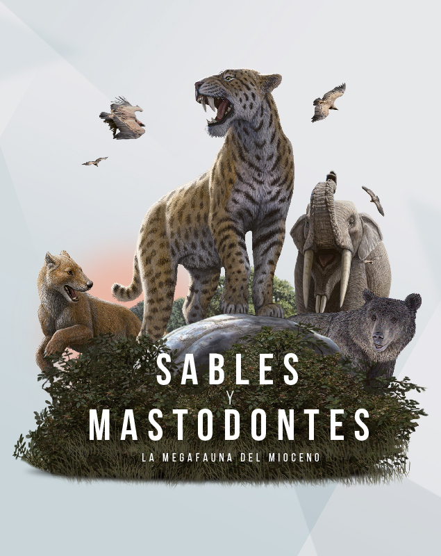 Voyage Espagne 2020 by Claire - Ourboox.com