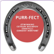 PURR-FECT by Mehmana Heydarova - Ourboox.com