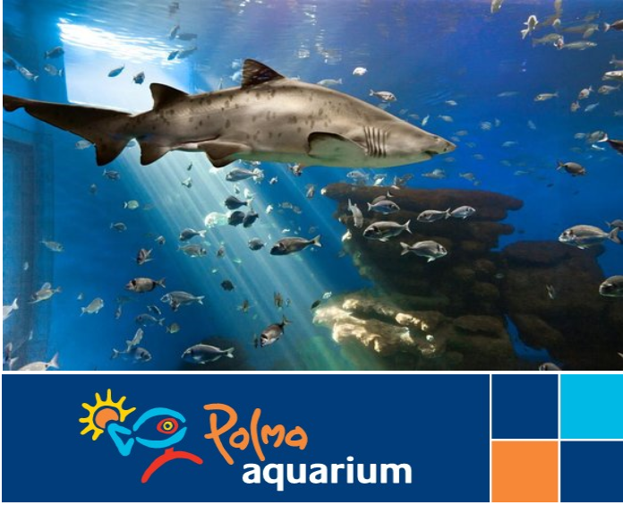 Voyage Espagne 2020 by Claire - Ourboox.com