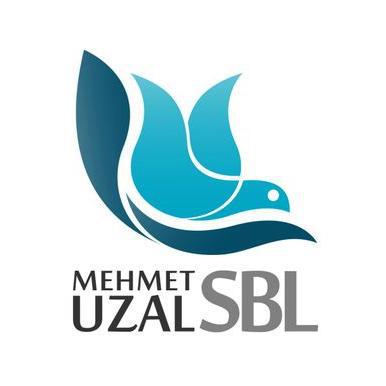 DECEMBER’S PROBLEM 1 by fadime günal - Ourboox.com