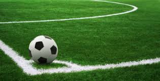 MY favorite by kfir cohen - Illustrated by kfir cohen - Ourboox.com