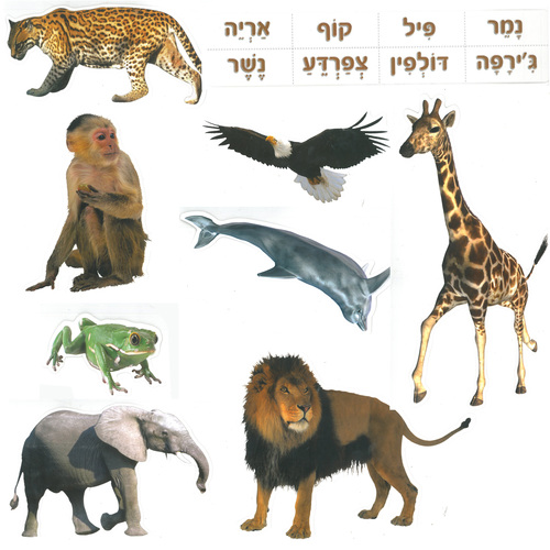 חלמת by helli eliassi - Illustrated by חלי אליאסי - Ourboox.com