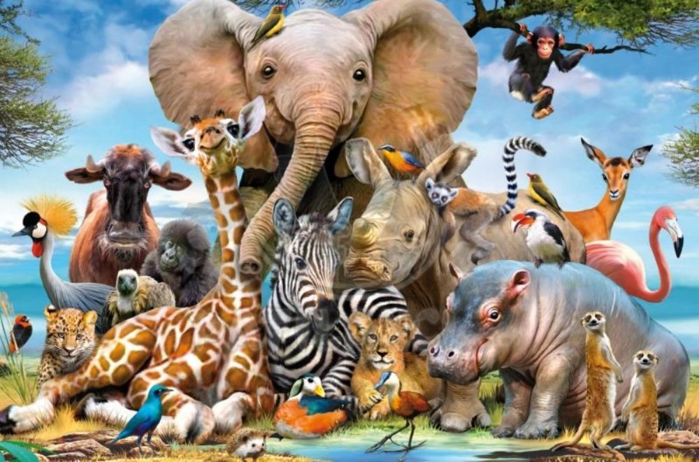 Животните по целия свят by Teodora - Ourboox.com