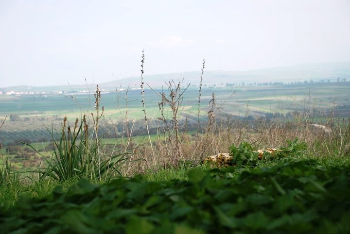 הטיול לצפון by sondos - Ourboox.com