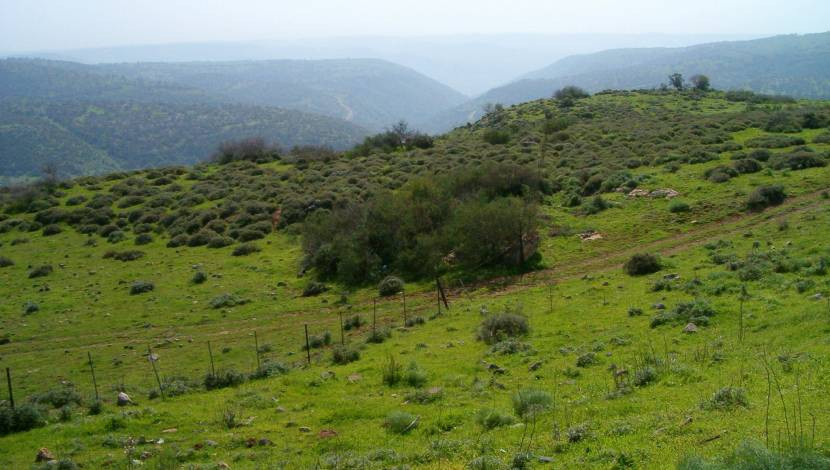 הטיול לצפון by habeba - Ourboox.com