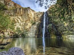 הטיול לצפון by tazeta - Ourboox.com