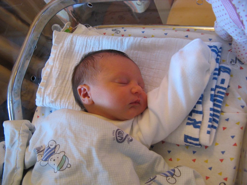 עבודת שורשים by neta canetti - Illustrated by נטע קנטי - Ourboox.com