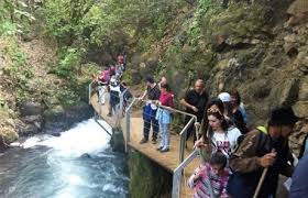 הטיול לצפון by tazeta - Ourboox.com