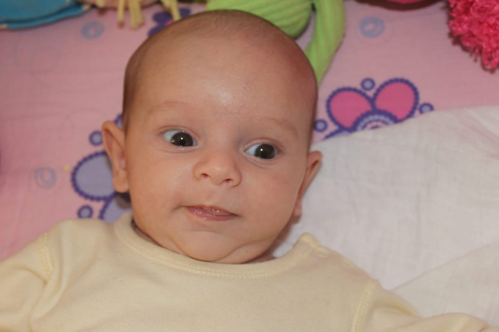 עבודת שורשים by neta canetti - Illustrated by נטע קנטי - Ourboox.com