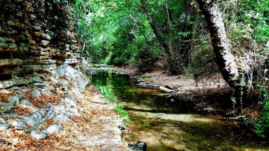 הטיול לצפון by alaajara - Ourboox.com