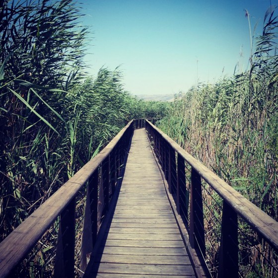 הטיול לצפון by noor - Ourboox.com