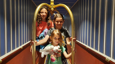 עבודת שורשים by neta canetti - Illustrated by נטע קנטי - Ourboox.com