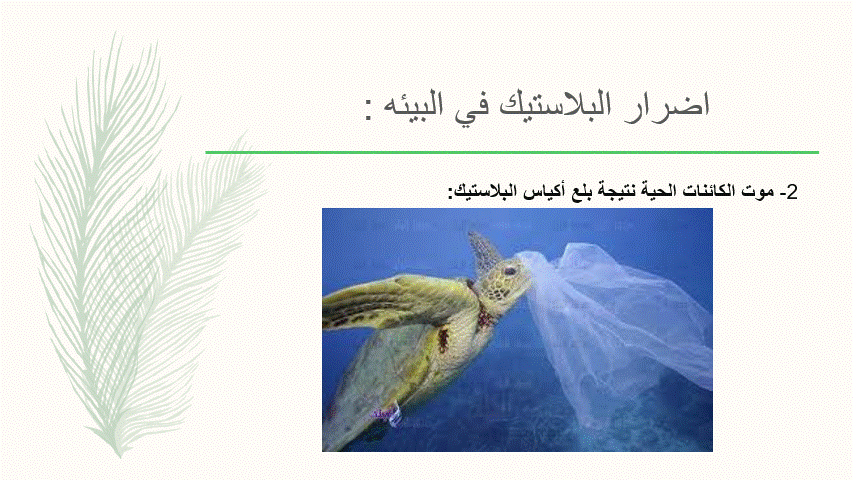 البيئه والبلاستيك by محمد عوده ابوسريحان - Ourboox.com