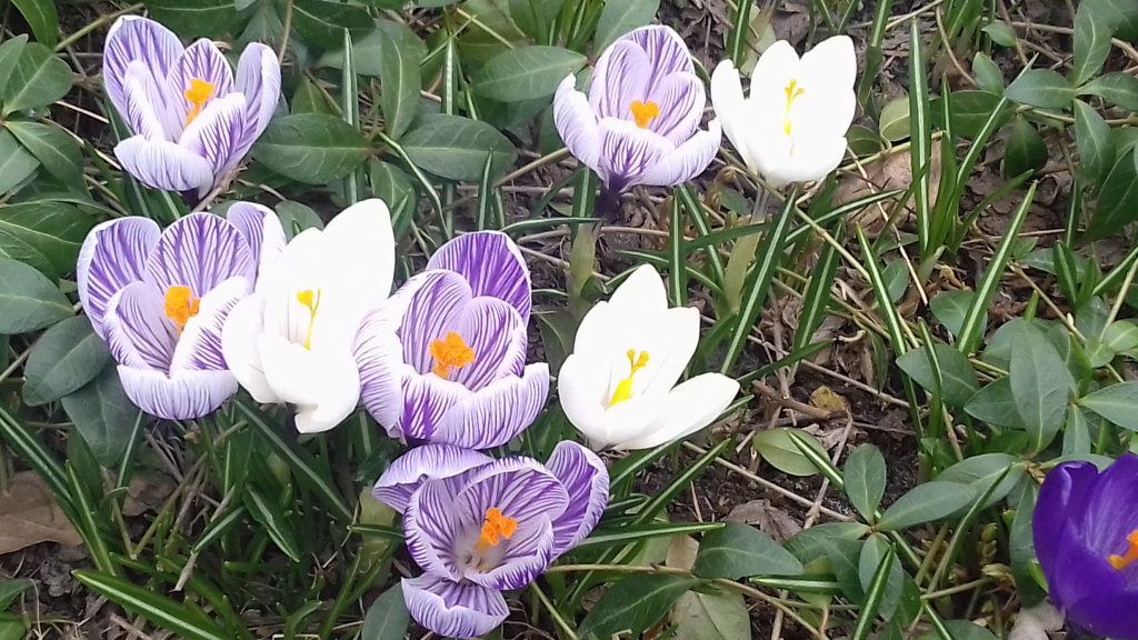 Головні члени речення by natalja - Ourboox.com