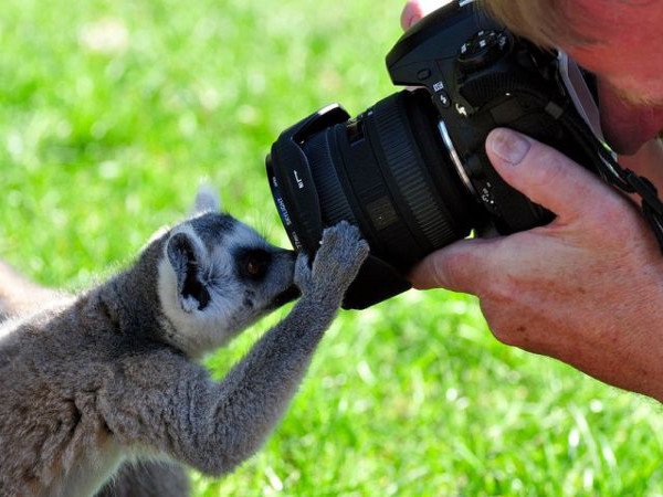 Словник біологічних термінів для учнів 7 класу by Valerie Mtvvv - Ourboox.com