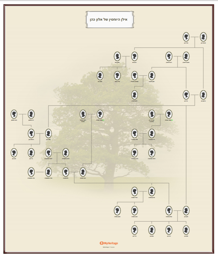 עבודת שורשים אלון כהן by Alon Cohen - Illustrated by אלון כהן - Ourboox.com