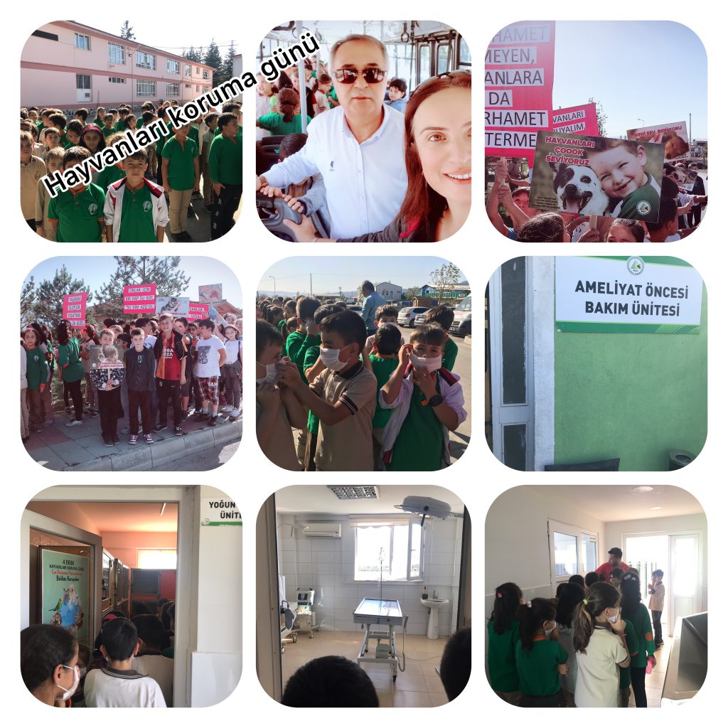 KEYİFLİ OKUL ATÖLYEM ETKİNLİK KİTABIM by Havva Demirdağ - Ourboox.com