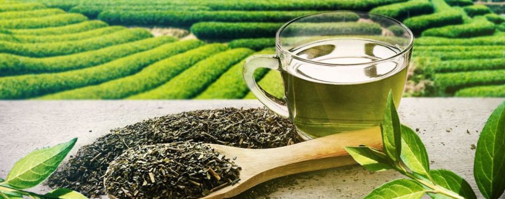 Вплив радіонуклідів на живі організми by Maria Hrynenko - Ourboox.com