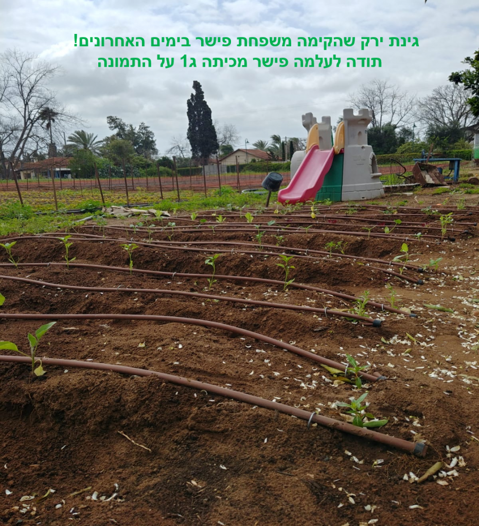 חוב”ביתון מהדורת קורונה by חברי מערכת העיתון - Ourboox.com