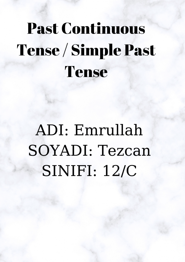 Past Continuous Tense / Simple Past Tense by Emrullah Tezcan - Ourboox.com