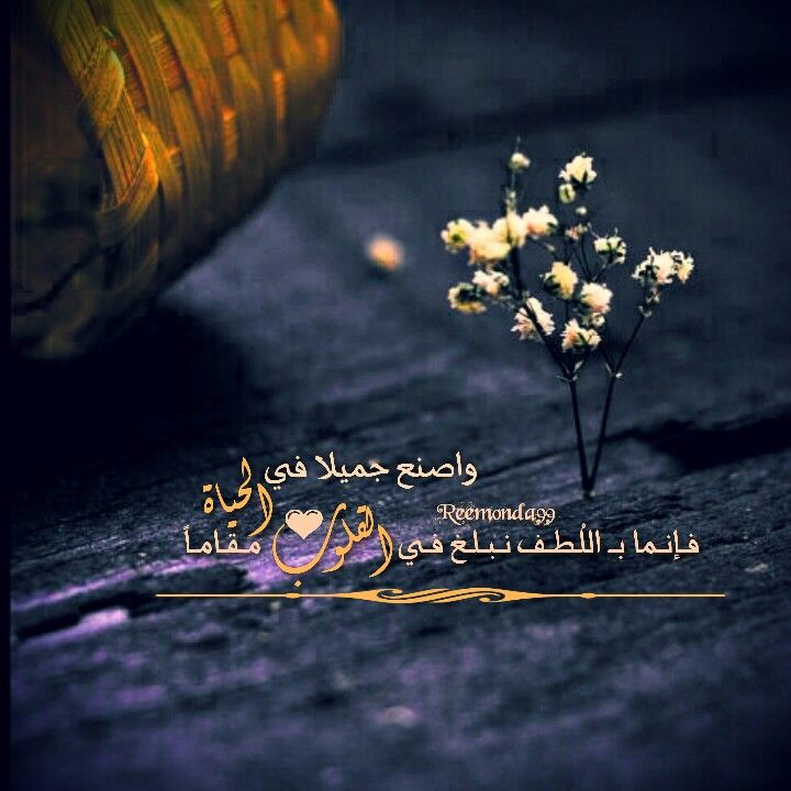 “باللطف لا بالعنف” by shereen abu ganem - Illustrated by شعبة الحوادي عشر  - Ourboox.com