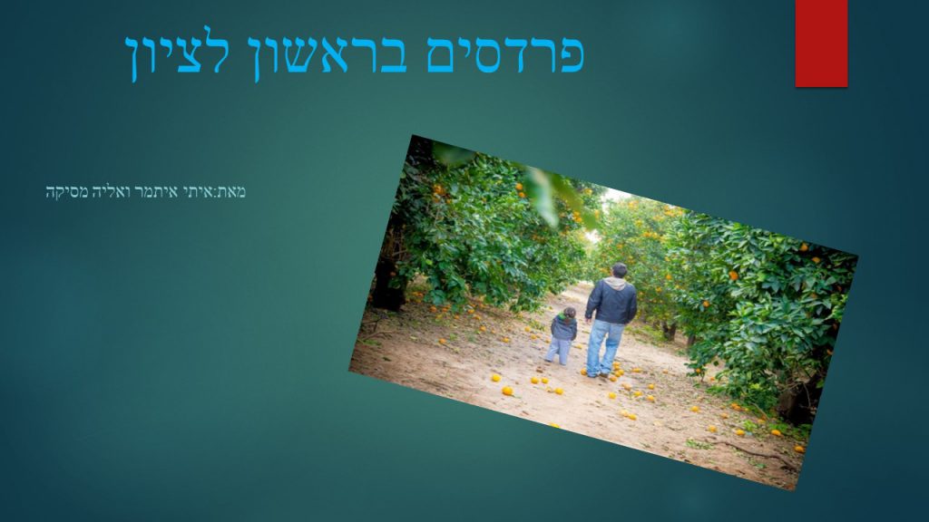 הפרדסים בראשון לציון- איתי גוטמן, אליה מסיקה ואיתמר ד1 by atarim - Ourboox.com