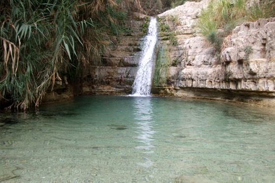A trip to the Kotel by SAHAR ASHTAMKER - Ourboox.com
