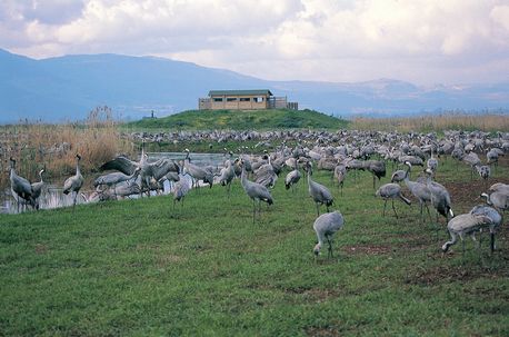 The best trip by adi ben shabat - Ourboox.com