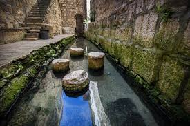 THE TRIP IN THE COUNTRY by liem dana - Ourboox.com