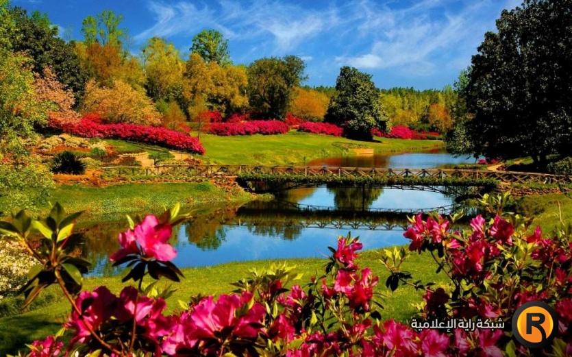 الربيع by neli - Illustrated by نيلي ناطور - Ourboox.com