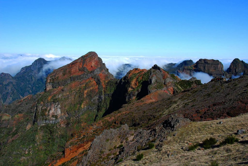 try by gerard - Ourboox.com