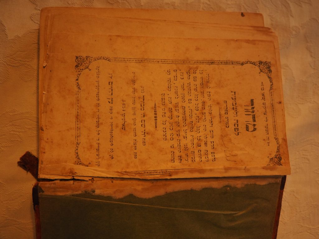 פסח תשע”ט אצל רפי by Eli Tzadik - Ourboox.com