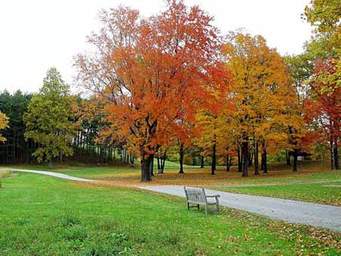 فصل الخريف by manal natour - Ourboox.com