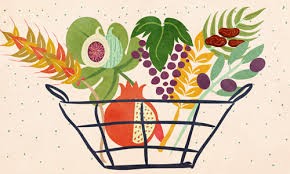 כלכלת בית – דגנים by hagitdav - Illustrated by חגית דוד - Ourboox.com