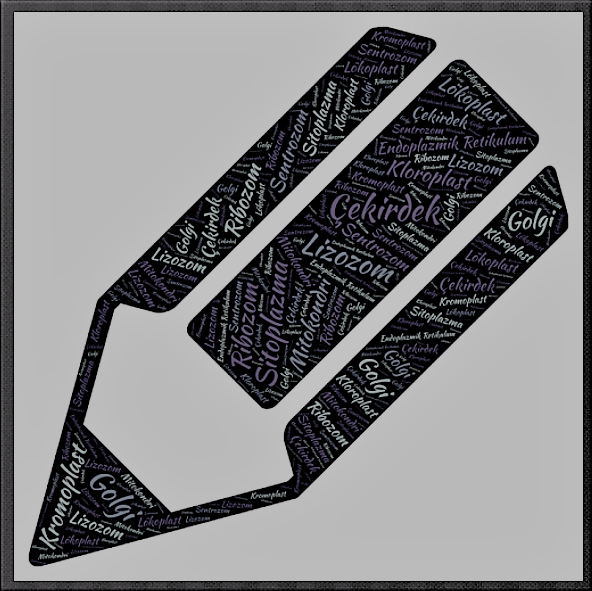 9. SINIF 2. DÖNEM BİYOLOJİ PERFORMANS ÖDEVİ Hazırlayan: Atahan Kurt Sınıfı: 9/E Okul no: 826 Konu: Hücre Organelleri Öğretmen: Şimel Tokat