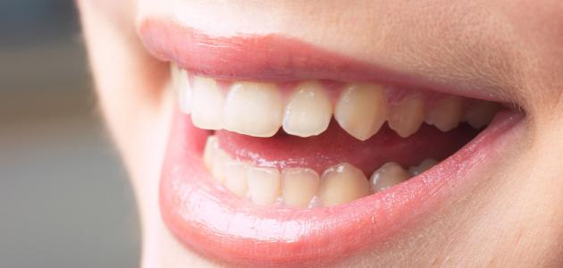 الأسنان🦷 by malak - Ourboox.com