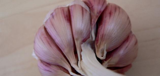 التكاثر الصف الثامن by wedad hmade - Ourboox.com