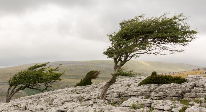 בממחשבות למילים – המשך by dov zafrir - Ourboox.com