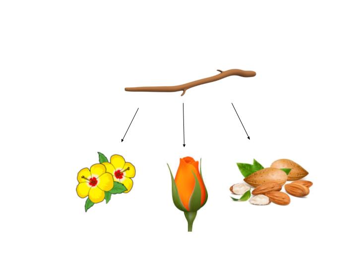 פרשת קרח פרק יז by Rebecca Ehrenhaus - Illustrated by Rebecca Ehrenhaus - Ourboox.com