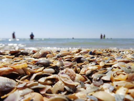 Lazurne by irina - Ourboox.com