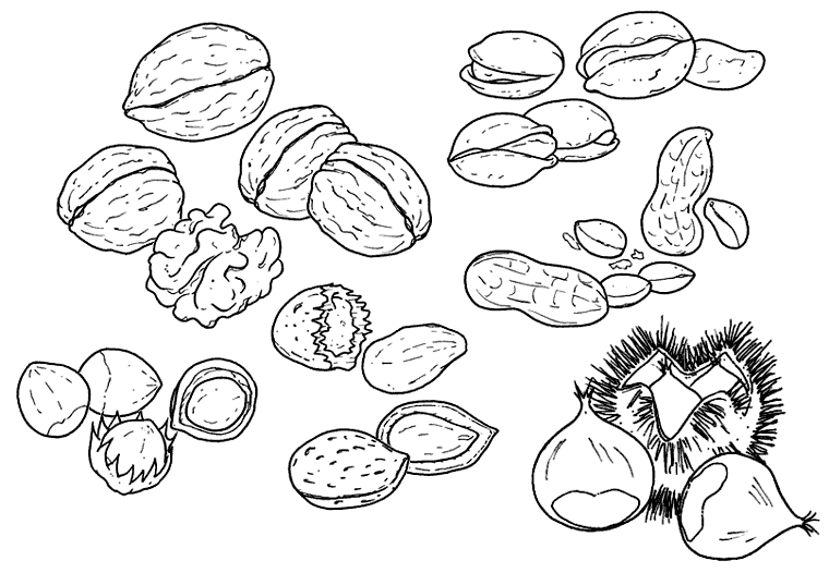 disegni by Giacinta Cataldo - Ourboox.com