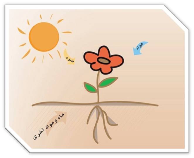 الاحتياجات الحياتية للنبات by Ghaydaa  - Illustrated by    طلابنا الاعزاء نضع بين ايديكم كتاب يستعرض الاحتياجات الحياتيه للنبات وفي نهايته يوجد اسئله من اجل ان تفحصوا مدى إلمامكم بمحتوى الكتاب - Ourboox.com