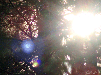 الاحتياجات الحياتية للنبات by Ghaydaa  - Illustrated by    طلابنا الاعزاء نضع بين ايديكم كتاب يستعرض الاحتياجات الحياتيه للنبات وفي نهايته يوجد اسئله من اجل ان تفحصوا مدى إلمامكم بمحتوى الكتاب - Ourboox.com