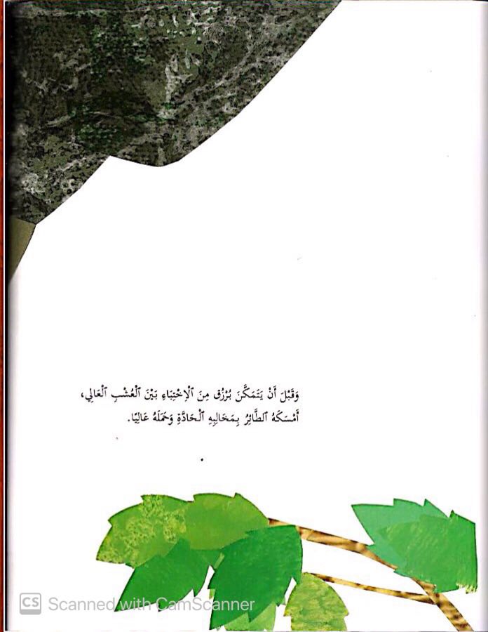 اين كنت يا برزق by Sewar alyan - Ourboox.com