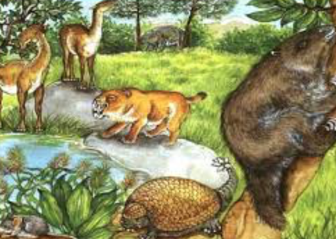 la linea del tempo by giovanna - Ourboox.com