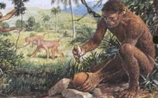 la linea del tempo by giovanna - Ourboox.com