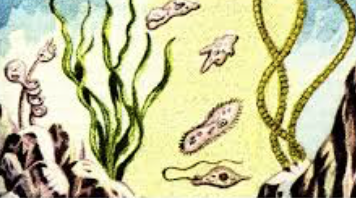 La linea del tempo by giovanna - Ourboox.com