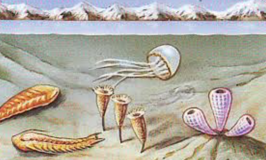 La linea del tempo by giovanna - Ourboox.com