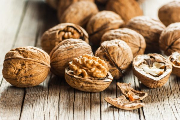 כתיבה טיעונית by Liat Assayag - Illustrated by ליאת אסייג - Ourboox.com